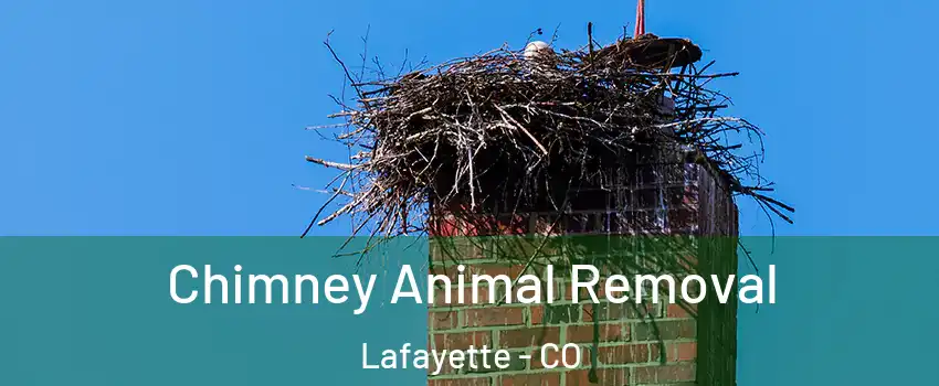  Chimney Animal Removal Lafayette - CO