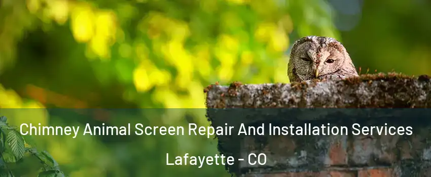  Chimney Animal Screen Repair And Installation Services Lafayette - CO