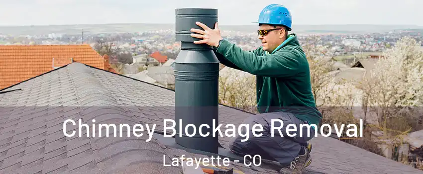  Chimney Blockage Removal Lafayette - CO