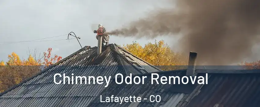  Chimney Odor Removal Lafayette - CO