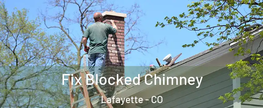  Fix Blocked Chimney Lafayette - CO