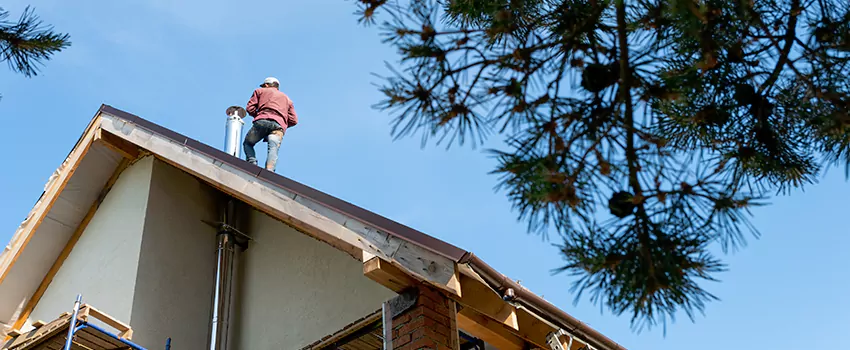 Birds Removal Contractors from Chimney in Lafayette, CO