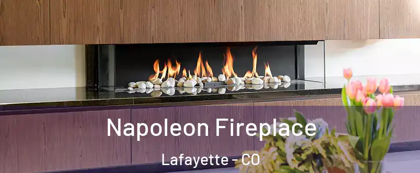  Napoleon Fireplace Lafayette - CO