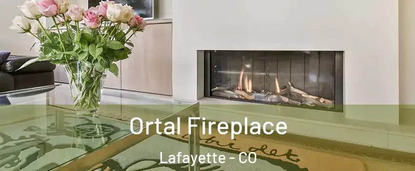  Ortal Fireplace Lafayette - CO